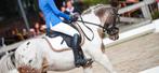 Verzorgpony Bijrijder / ruitertje gezocht - B-pony in Soest, Dieren en Toebehoren, Stalling en Weidegang