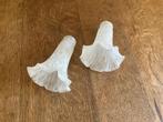 Twee glazen jugendstil lampenkapjes, Antiek en Kunst, Antiek | Lampen, Ophalen of Verzenden