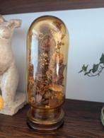 Vintage gedroogde bloemen cloche stolp jaren 70s, Ophalen of Verzenden, Gebruikt