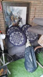 Gratis af te halen in Best, Dieren en Toebehoren, Vogels | Duiven, Mannelijk, Postduif