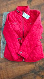 Next jacket, Ophalen, Nieuw, Maat 36 (S), Next