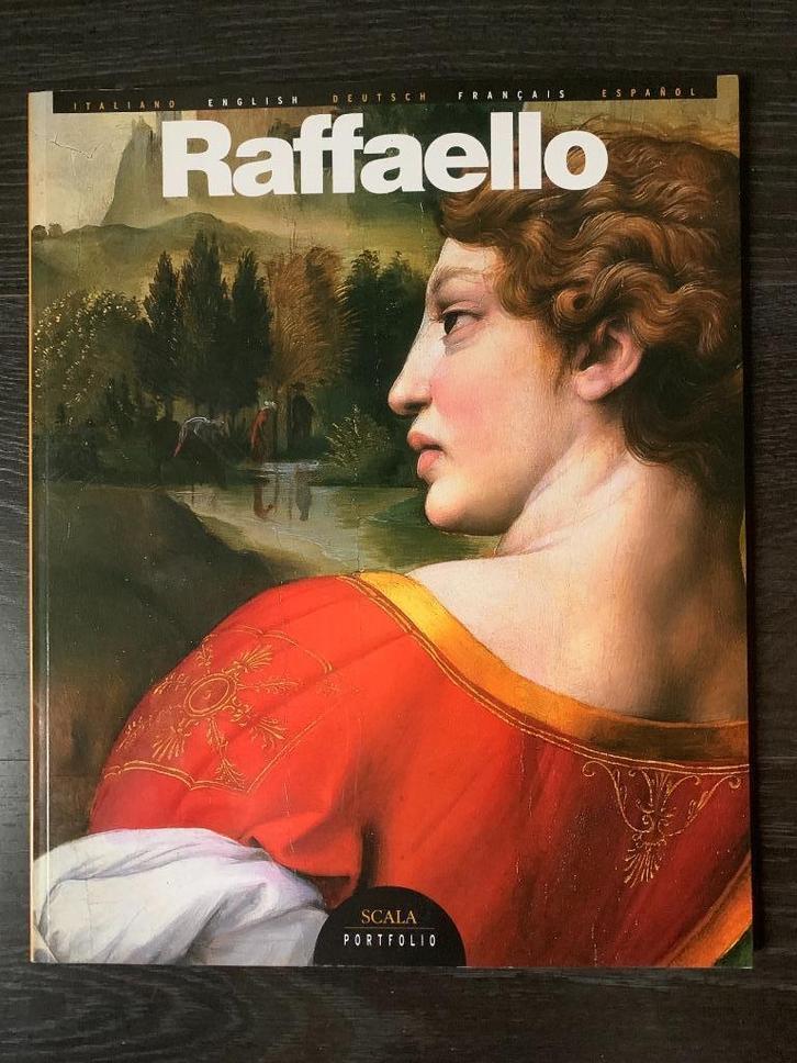 Raffaello en Memling de mooiste schilderijen, Boeken, Kunst en Cultuur | Beeldend, Zo goed als nieuw, Schilder- en Tekenkunst
