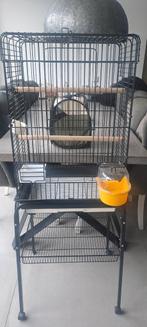 Vogelkooi, Dieren en Toebehoren, Vogels | Hokken en Kooien, Ophalen, Zo goed als nieuw, Metaal, Vogelkooi