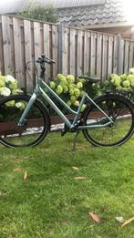 Batavus dinsdag beltdrive 7 versnellingen als nieuw!, Fietsen en Brommers, Fietsen | Dames | Damesfietsen, Ophalen, 47 tot 50 cm