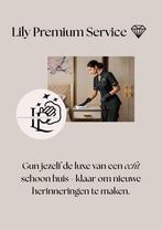 PREMIUM SCHOONMAAKSERVICE - NIJMEGEN, Vacatures, Overige uren, HBO, Vanaf 10 jaar, Freelance of Uitzendbasis