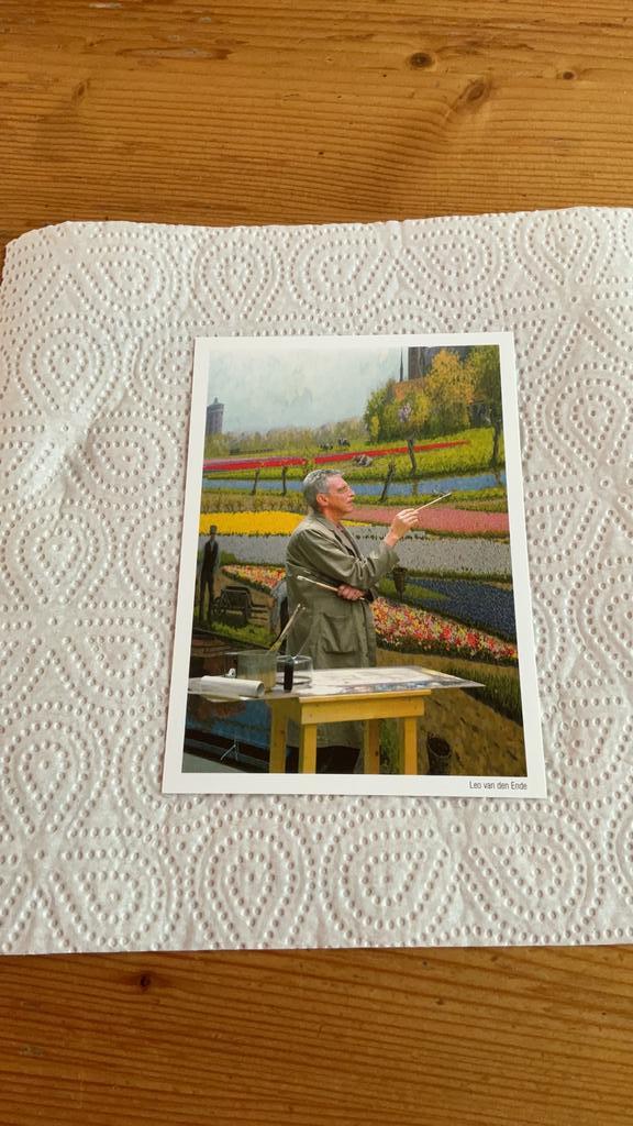 Postkaart Leo van de Ende Panorama Bollenstreek / Tulipland, Verzamelen, Ansichtkaarten | Themakaarten, Ongelopen, 1980 tot heden