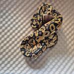 Pastel phantom het candy, Dieren en Toebehoren, Slang