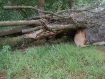dik 4kuub EIKEN haardhout - deels gezaagd gekloofd - ophalen beschikbaar voor biedingen