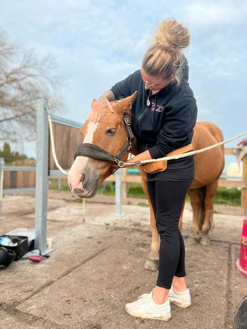 Aromatherapie voor paarden, Dieren en Toebehoren, Paarden en Pony's | Overige Paardenspullen, Ophalen of Verzenden