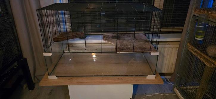 Mooie knaagdierkooi, Dieren en Toebehoren, Knaagdieren en Konijnen | Hokken en Kooien, Kooi, Minder dan 60 cm, 75 tot 110 cm, Ophalen