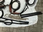 Te koop tweespan borsttuig zeer robuust  , full, Dieren en Toebehoren, Ophalen of Verzenden, Gebruikt