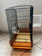 Vogelkooi, Dieren en Toebehoren, Vogels | Hokken en Kooien, Ophalen of Verzenden, Gebruikt, Metaal, Vogelkooi