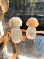 Paddenstoelen seleniet, Verzamelen, Mineralen en Fossielen, Ophalen of Verzenden, Mineraal