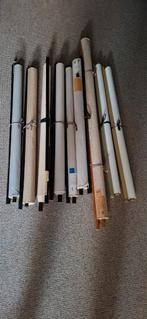Lot van 9 antieke medische schoolplaten., Ophalen of Verzenden, Zo goed als nieuw