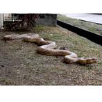 Snake Python Giant 15 meter - Slang decoratie polyester