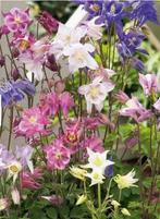 Akelei zaad/zaadjes mix, Tuin en Terras, Ophalen of Verzenden, Najaar, Volle zon, Zaad