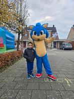 Sonic op je kinderfeestje / verjaardag/ evenement/ huren, Ophalen of Verzenden, Zo goed als nieuw, Verjaardag