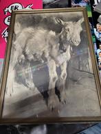 Geit H van meegeren, Ophalen of Verzenden