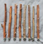 Zitstokjes van de knotwilg uit de polder., Ophalen, Nieuw, Kooi-accessoires