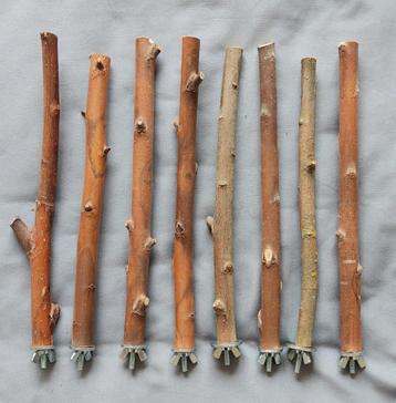 Zitstokjes van de knotwilg uit de polder. beschikbaar voor biedingen