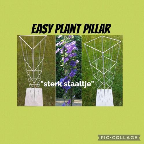 DRAADREKKEN VOOR STEUN VRAGENDE PLANTEN, Tuin en Terras, Planten | Bomen, Overige soorten, 100 tot 250 cm, In pot, Ophalen of Verzenden