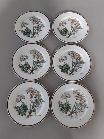 6 gebaksbordjes Villeroy en Boch Botanica  beschikbaar voor biedingen