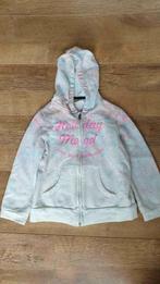 Zara vest met capuchon. Maat 116, Meisje, Trui of Vest, Ophalen of Verzenden, Zo goed als nieuw