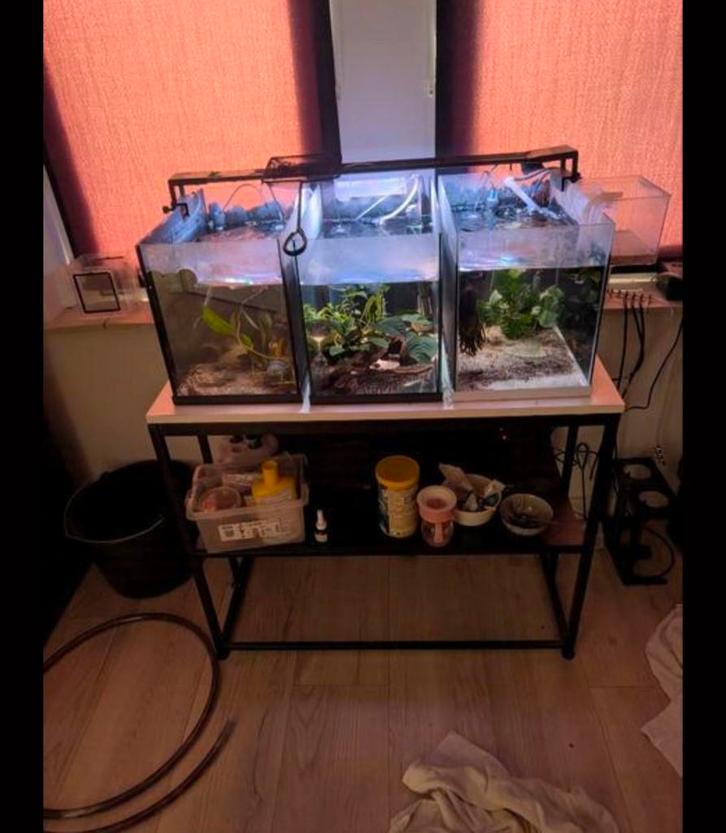 3x compleet aquarium 40 liter, Dieren en Toebehoren, Vissen | Aquaria en Toebehoren, Ophalen