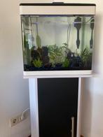 Net aquarium van 65 liter met alle toebehoren incl 18 vissen, Dieren en Toebehoren, Vissen | Aquaria en Toebehoren, Ophalen, Zo goed als nieuw