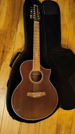 Ibanez elektrisch-akoestische 12-snarige gitaar, Muziek en Instrumenten, Ophalen of Verzenden, Zo goed als nieuw, Western- of Steelstringgitaar