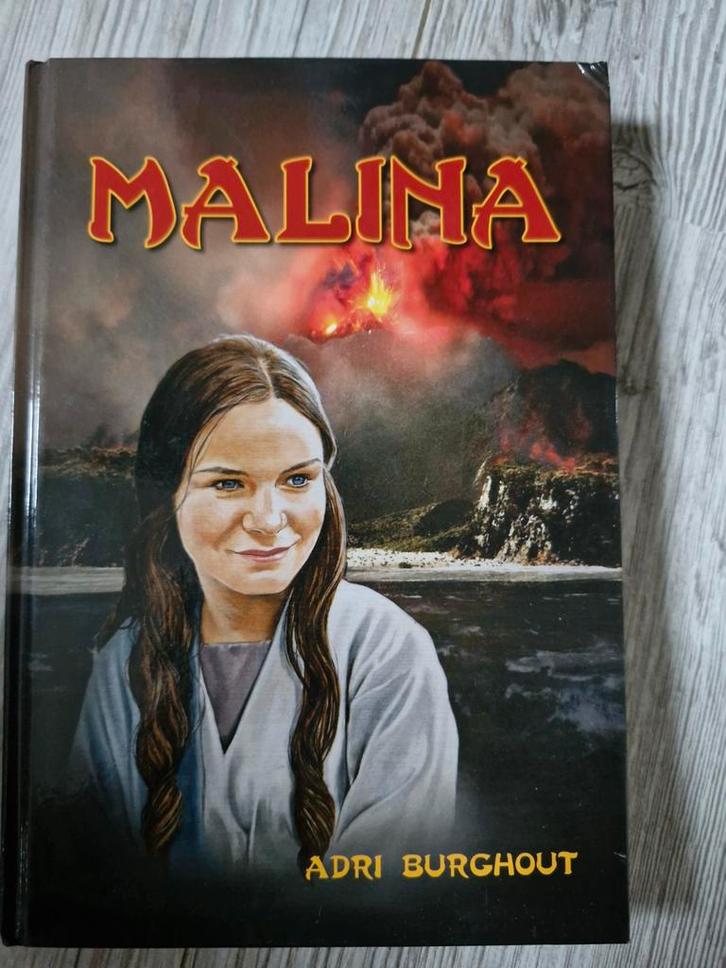 Malina - Adri Burghout, Boeken, Historische romans, Zo goed als nieuw, Ophalen of Verzenden