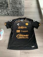 Charly, Maat XL, Ophalen of Verzenden, Zo goed als nieuw, Shirt