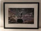 BANKSY : lithografie meet certificaat, Antiek en Kunst, Kunst | Litho's en Zeefdrukken, Ophalen of Verzenden