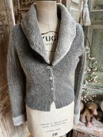 Beige grijs vest van Indies maat S zgan, Kleding | Dames, Ophalen of Verzenden, Zo goed als nieuw, Maat 38/40 (M), Beige