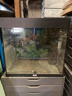 Lek aquarium juwel lido 120 incl lichtkap, filter en pomp, Dieren en Toebehoren, Vissen | Aquaria en Toebehoren, Ophalen, Gebruikt