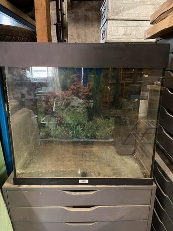 Lek aquarium juwel lido 120 incl lichtkap, filter en pomp beschikbaar voor biedingen