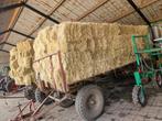 Kleine hooibalen te koop, Dieren en Toebehoren, Dierenvoeding, Ophalen of Verzenden