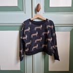 H&M luipaard trui 116, Ophalen of Verzenden, Zo goed als nieuw, Meisje, Trui of Vest