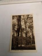 DELDEN. TWICKELERBOSCH., Ophalen of Verzenden, Voor 1920, Zuid-Holland