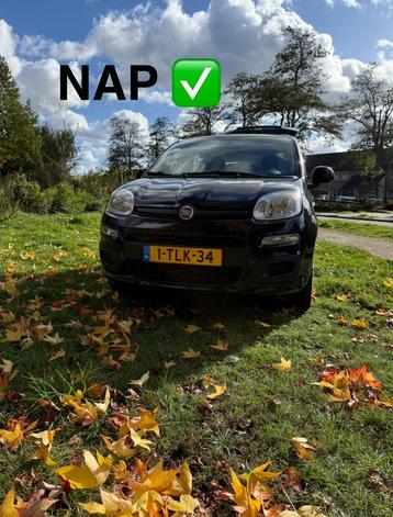 Fiat Panda 0.9 Twinair Edizione Cool 44KW 2014 Zwart beschikbaar voor biedingen