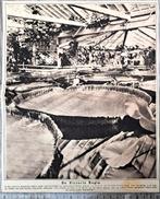 Hortus A'dam 1918; de bloeiende Victoria Regia, Verzamelen, Verzenden, Voor 1940, Gebruikt, Overige onderwerpen