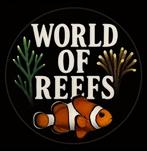 Vissen en koralen opvang, Ophalen, Gevuld zeewateraquarium