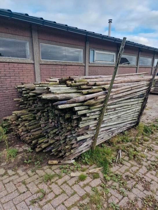 Fruitboom/ boompalen, Tuin en Terras, Tuinhekken en Hekwerk, Gebruikt, Tuinhek, IJzer, Ophalen of Verzenden