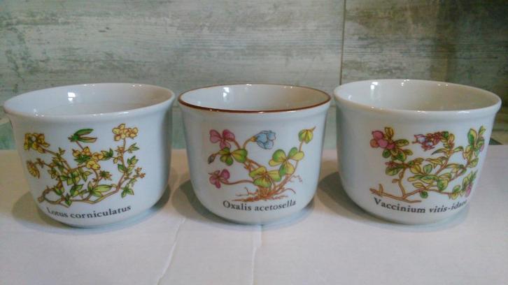 Vintage bloempotten botanica porselein 3 stuks met schaal, Tuin en Terras, Bloempotten, Zo goed als nieuw, Binnen, Rond, Ophalen of Verzenden