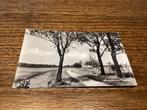 Munnekeburen.      Voetpad, Ophalen of Verzenden, 1940 tot 1960, Friesland