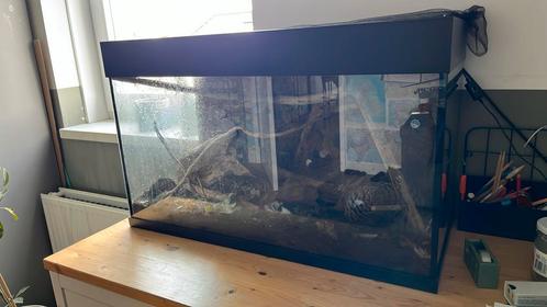 Aquarium of terrarium, Dieren en Toebehoren, Vissen | Aquaria en Toebehoren, Zo goed als nieuw, Leeg aquarium, Ophalen