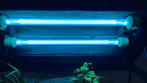 Uv lamp aquarium/vijver, Ophalen of Verzenden, Zo goed als nieuw, Verlichting of Verwarming