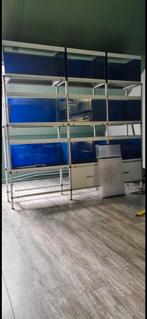 Kweekstelling 9bakken, Dieren en Toebehoren, Vissen | Aquaria en Toebehoren, Ophalen