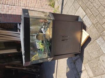 Hoek aquarium 65 euro  beschikbaar voor biedingen