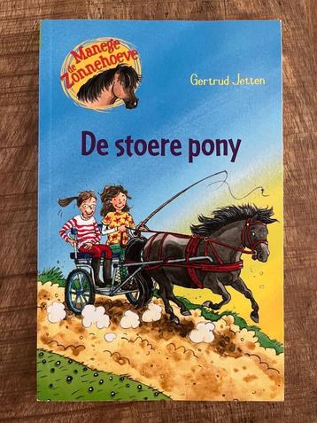 De stoere pony beschikbaar voor biedingen